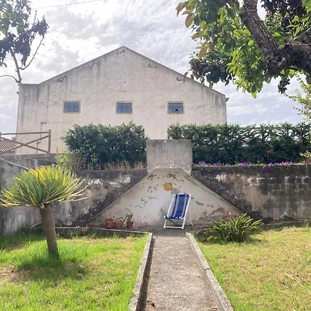 The Painters House * Marteleira